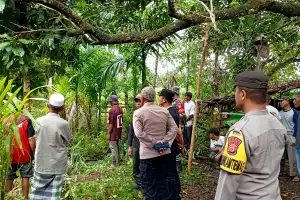 Seorang Warga Simeulue Ditemukan Meninggal Tergantung di Pohon Jambu