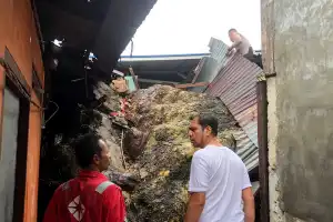 Pohon Tumbang Timpa Tujuh Rumah Warga Sabang