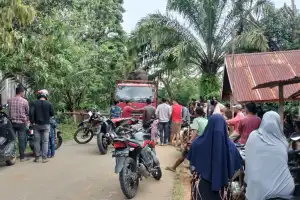 Kecewa dengan BKSDA, Warga Pintu Rime Gayo Hadang Truk Gajah Jinak