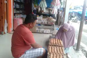 Harga Telur Ayam di Aceh Tenggara Turun