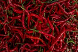 Harga Cabai Merah Tembus Rp 55 Ribu Per Kilogram