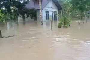 Pj Gubernur Diminta Desak Kapolda Tertibkan Tambang Emas Ilegal Aceh Barat