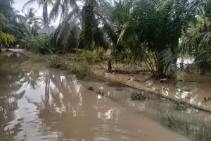 PLN Perbaiki Kabel Listrik yang Menewaskan Seorang Remaja di Aceh Barat