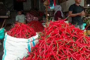 Harga Cabai dan Bawang di Banda Aceh Melonjak Naik