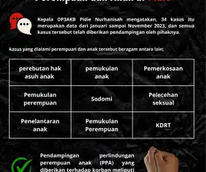 34 Kasus Kekerasan Perempuan dan Anak Terjadi di Pidie Sepanjang Tahun 2023