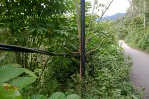 Kabel Listrik Sentuh Tanah Bahayakan Warga Gampong Suka Damai Abdya