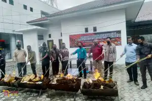 Kejari Aceh Tenggara Musnahkan 262 Gram Sabu dan Puluhan Kilogram Ganja