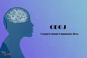 192 ODGJ di Aceh Barat Ikut Memilih Pada Pemilu 2024