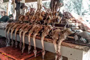 Jelang Tahun Baru, Harga Ayam dan Telur di Banda Aceh Merangkak Naik