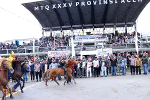 254 Ekor Kuda akan Perebutkan Hadiah Total Rp264 Juta