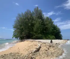 Kunjungan Wisman ke Aceh Capai 2.611 Orang