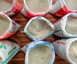 Harga Masih Tinggi, Masyarakat Banda Aceh Beralih Konsumsi Beras SPHP