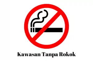 Cegah Penyakit Kronis Pada Bayi, Pemkab Pijay Segera Lahirkan Qanun KTR