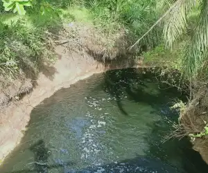 Sungai Tamiang Diduga Tercemar Limbah Pabrik, Warga Keluhkan Bau Busuk dan Air Hitam