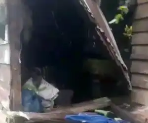 Satu Unit Rumah Warga Dirusak Gajah Liar di Bener Meriah