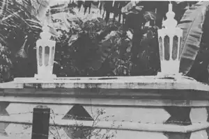 Kolera Disebut Membunuh Sultan Aceh 150 Tahun Lalu