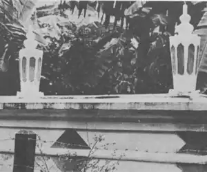 Kolera Disebut Membunuh Sultan Aceh 150 Tahun Lalu