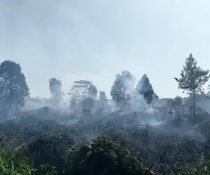 Karhutla di Aceh Barat Masih Belum Padam