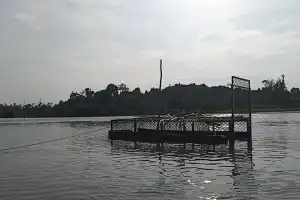 Polisi dan BKSDA Pasang Perangkap Buaya di Pulau Banyak Barat