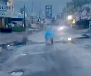 Protes Jalan Rusak Parah, Warga Tanam Pohon Pisang