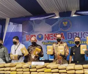 BNN Gagalkan Peredaran Ganja di Sigli, Lahan Seluas Empat Hektare Dimusnahkan