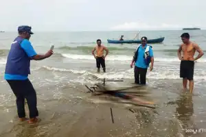 Tenggelam di Pantai Bokek Aceh Singkil, Jasad Pemuda Nias Ditemukan