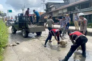 Lagi, Personel Polisi Tambal Jalan Berlubang Lintas Aceh Singkil-Subulussalam