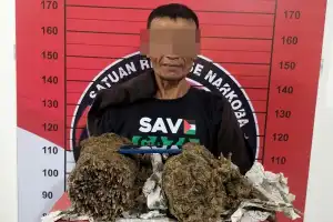 Polisi Pergok Pengendara Motor Bawa Ganja 2 Kilogram di Lhoksukon