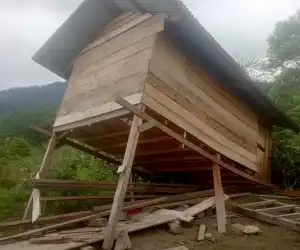 Gajah Liar Sudah Sebulan Ubrak Abrik Perkebunan Warga Kluet Tengah