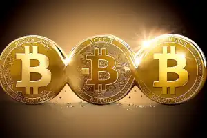 Terungkap Fakta Investor Kripto di Indonesia Berusia di Bawah 35 Tahun