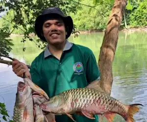 Diduga Empat Tahun tak Masuk Kerja, Dua Honorer Kecamatan Syiah Utama Disebut Masih Terima Gaji Tiap Bulan