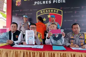 Polisi Ringkus Residivis Tersangka Pelaku Kasus Penikaman di Sigli
