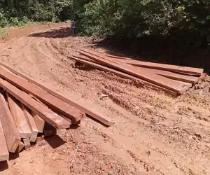 WALHI Aceh Temukan Praktik Illegal Logging di Kawasan Hutan Mukim Krueng Bireuen