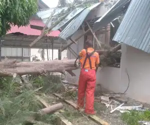 Rumah Warga hingga Gedung Dewan di Aceh Besar Rusak Ditimpa Pohon