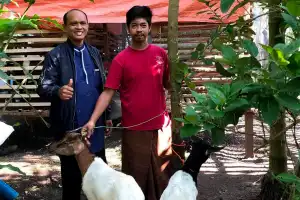 Omzet Pedagang Hewan Kurban Lhokseumawe Meningkat Jelang Idul Adha