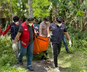 Warga Lhokseumawe Diduga Meninggal Usai Jatuh dari Pohon Kelapa