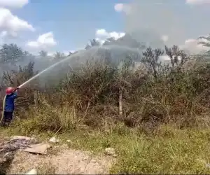 Cuaca Panas, Lahan Ilalang di Aceh Besar Terbakar Gegara Puntung Rokok