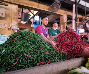 Harga Cabai Melambung Tinggi Jelang Idul Adha