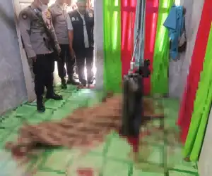 Warga Aceh Timur Digegerkan Penemuan Mayat Perempuan dalam Kondisi Luka Gorok