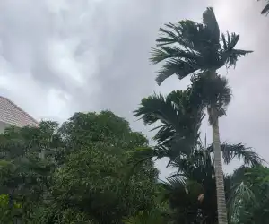 Angin Kencang Melanda Banda Aceh, Ini Penjelasan BMKG