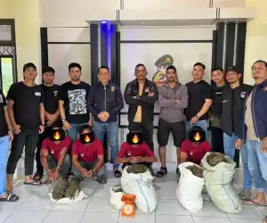 Nyamar Jadi Pembeli, Polisi Tangkap Empat Tersangka dan Sita Puluhan Kilogram Ganja di Nagan Raya