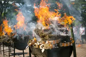 Polda Aceh Musnahkan 1,2 Ton Ganja dan 226 Kilogram Sabu Jaringan Malaysia-Thailand