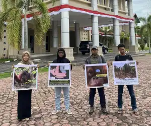 40.021 Petisi Dukungan Internasional untuk Selamatkan Rawa Tripa