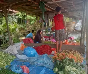 Harga Cabai Merah Turun di Aceh Singkil, IRT Bersyukur