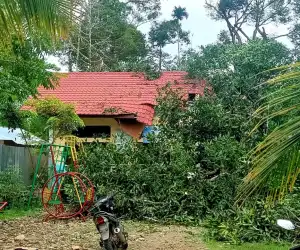 Gedung PAUD di Abdya Rusak Ditimpa Pohon