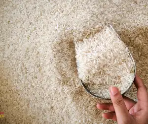 Harga Beras Masih Tinggi, Produksi Beras Awal Tahun 2024 Diprediksi Meningkat