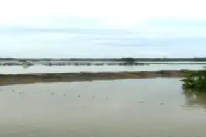 Dampak Banjir Pidie, Ribuan Hektare Tambak Ikan Warga Rusak