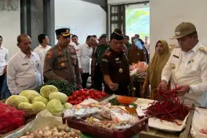 Cegah Inflasi, Pj Bupati Abdya Pantau Harga Kebutuhan Pokok di Pasar