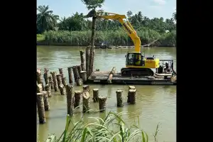 BPBD Aceh Tamiang Pasang Pancang Ratusan Batang Sawit di Sungai untuk Mitigasi Bencana