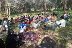 Rohingya di Aceh Timur Mendarat di Pulau Bekas Tsunami